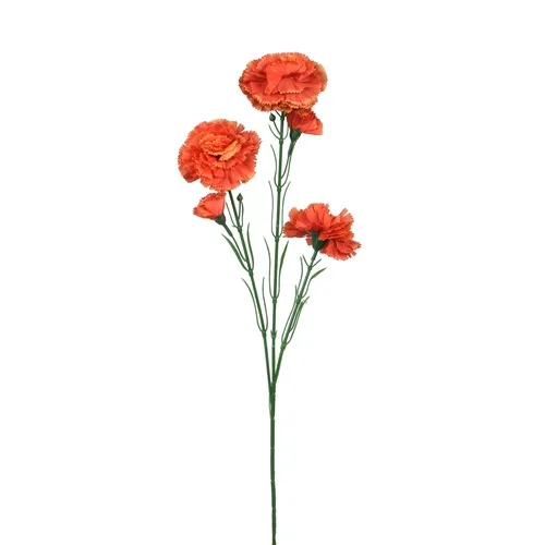 Karafiát – konár x5 65 cm orange K193